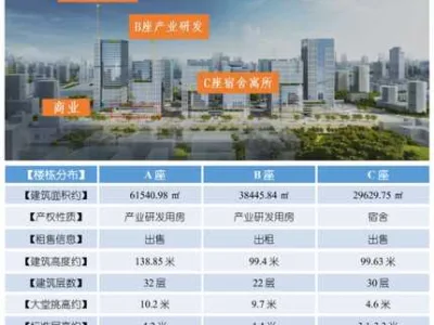 湾区东岸，产研综合体【星展广场】