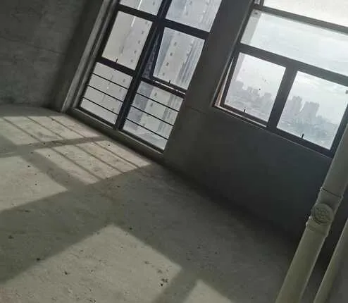 新桥仁恒前海乐都荟大厦两套打骨折出售315万