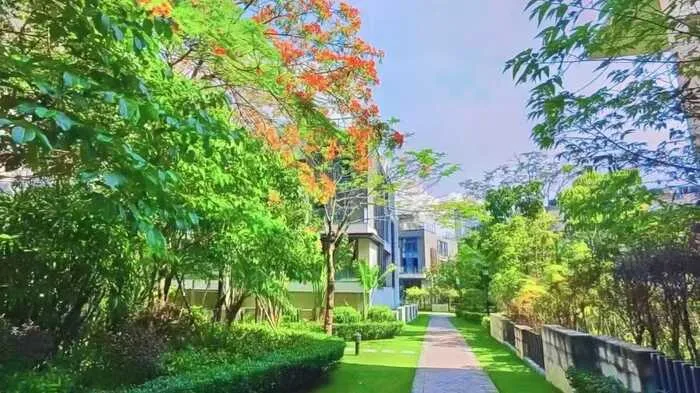 深圳光明金城大第花园豪华‮别大‬墅出售2180万