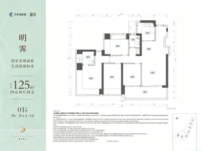 11号线网红盘【海岸城·檀府】总价350万起