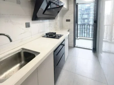 新桥万科星城loft复试两房两厅一卫租2800
